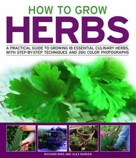 How to Grow Herbsgrow 