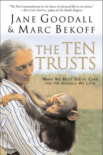 The Ten Truststrusts 