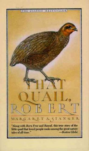 That Quail, Robertquail 