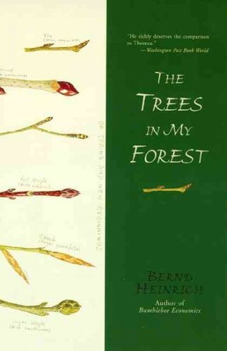 The Trees in My Foresttrees 