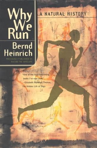 Why We Runrun 