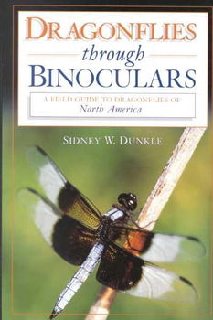 Dragonflies Through Binocularsdragonflies 