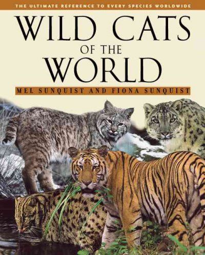 Wild Cats of the Worldwild 