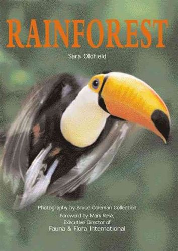 Rainforestrainforest 