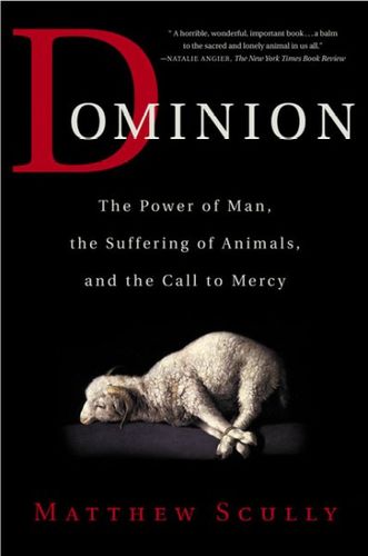 Dominiondominion 