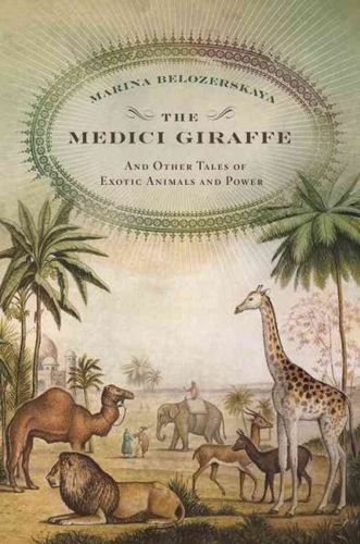 The Medici Giraffemedici 