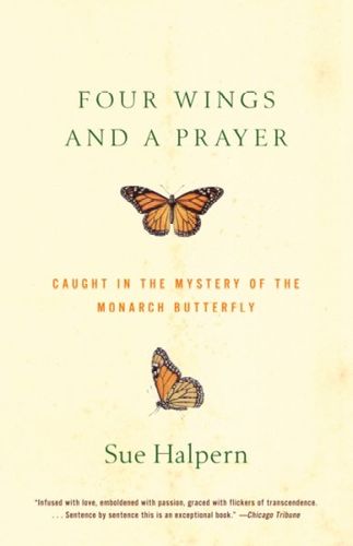 Four Wings and a Prayerfour 