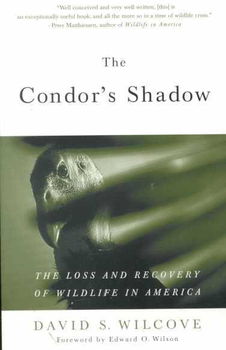 The Condor's Shadowcondor 