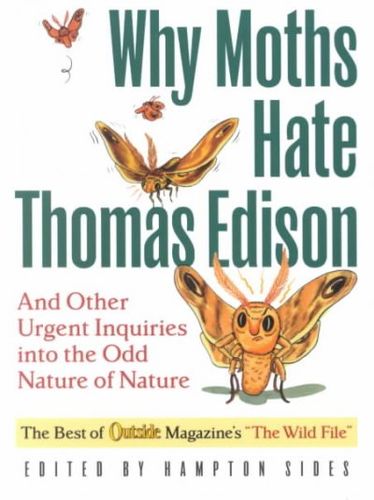 Why Moths Hate Thomas Edisonmoths 