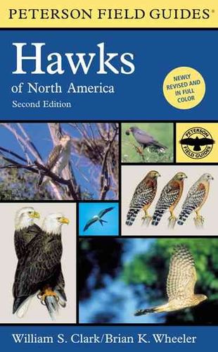 A Field Guide to Hawks of North Americafield 
