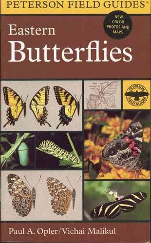 A Field Guide to Eastern Butterfliesfield 