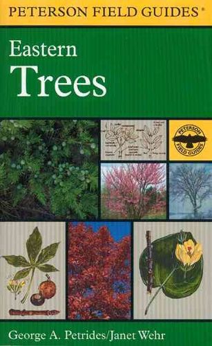 A Field Guide to Eastern Treesfield 