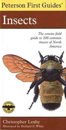 Peterson First Guide to Insects of North Americapeterson 