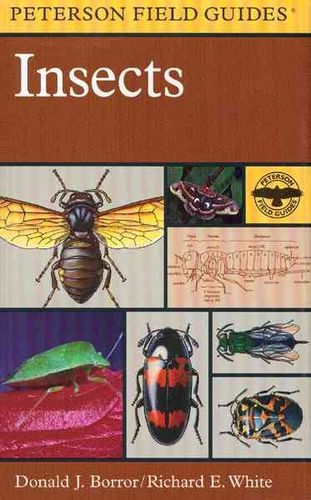 A Field Guide to Insectsfield 