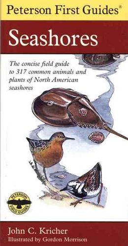 Peterson First Guide to Seashorespeterson 