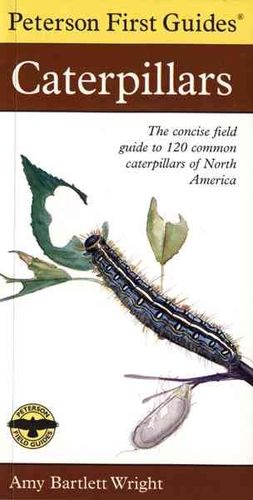 Peterson First Guide to Caterpillars of North Americapeterson 