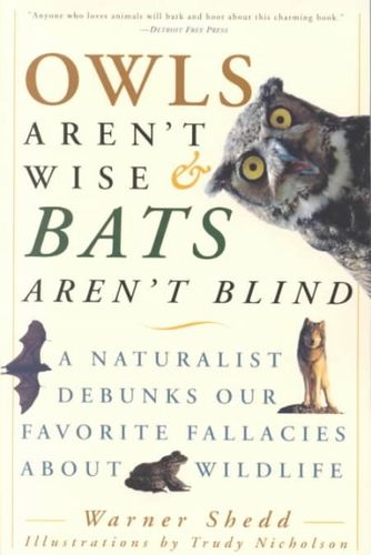 Owls Aren't Wise & Bats Aren't Blindowls 