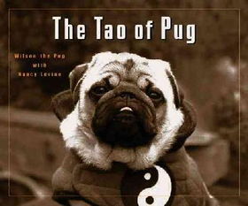 The Tao of Pugtao 