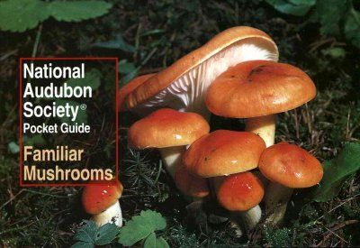 Familiar Mushroomsfamiliar 