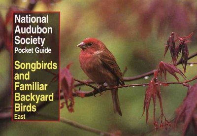 Songbirds and Familiar Backyard Birds/Eastern Regionsongbirds 