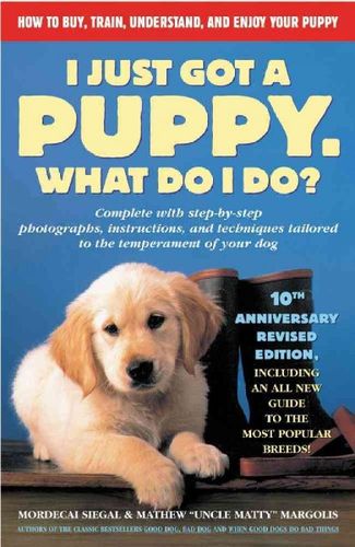 I Just Got a Puppy. What Do I Do?got 