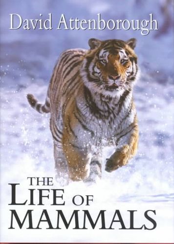 The Life of Mammalslife 