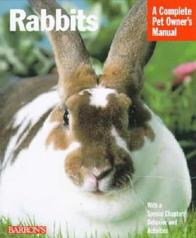 Rabbitsrabbits 
