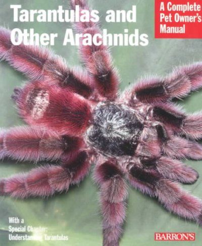 Tarantulas and Other Arachnidstarantulas 