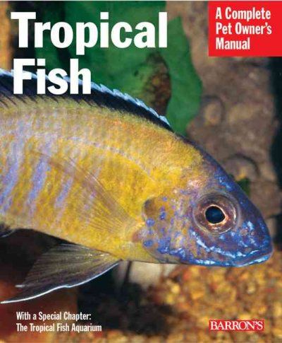 Tropical Fishtropical 