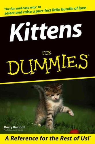 Kittens for Dummieskittens 