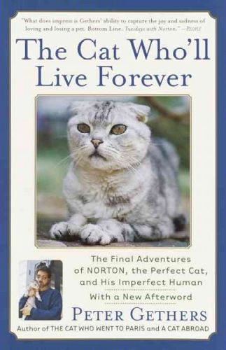 The Cat Who'll Live Forevercat 