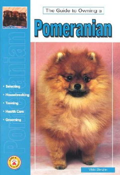 Guide to Owning a Pomeranianguide 