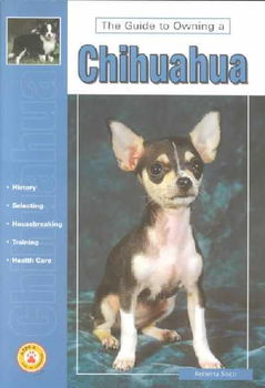 Guide to Owning a Chihuahuaguide 