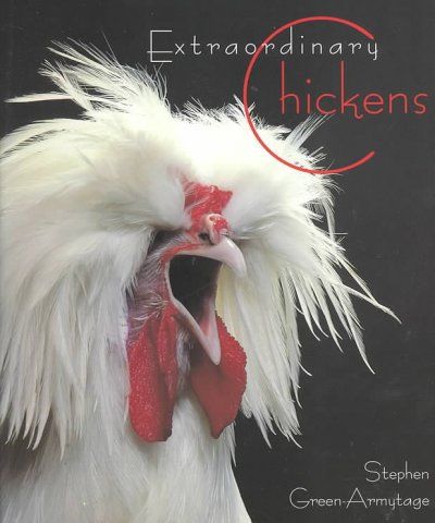 Extraordinary Chickensextraordinary 