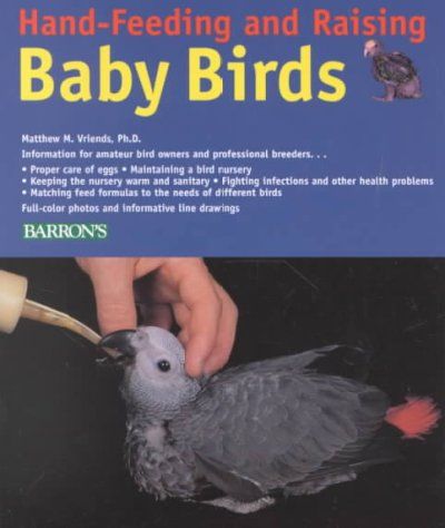 Hand-Feeding and Raising Baby Birdshand 