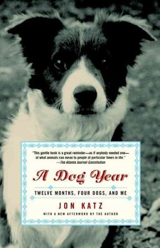 A Dog Yeardog 