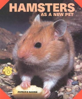 Hamsters As a New Pethamsters 