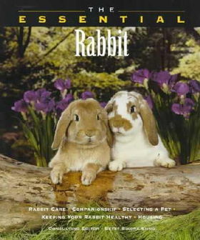 The Essential Rabbitessential 