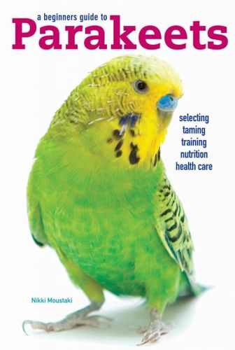 Parakeetsparakeets 