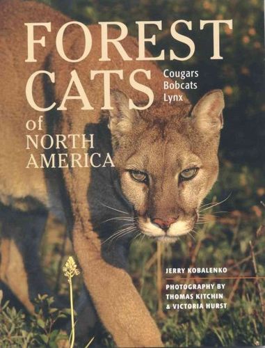 Forest Cats of North Americaforest 