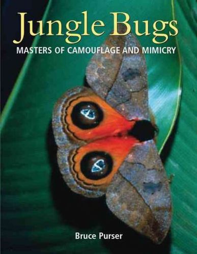 Jungle Bugsjungle 
