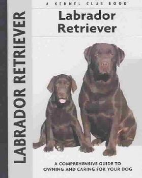 Labrador Retrieverlabrador 