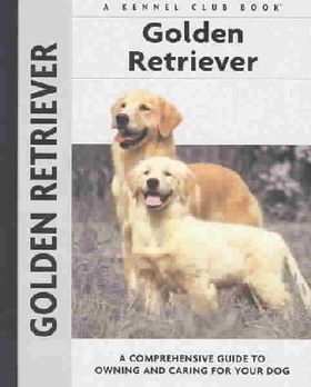 Golden Retrievergolden 