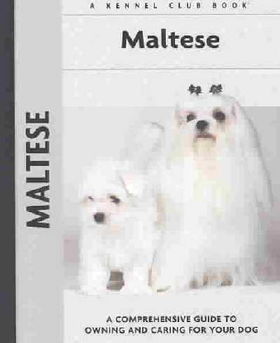 Maltesemaltese 