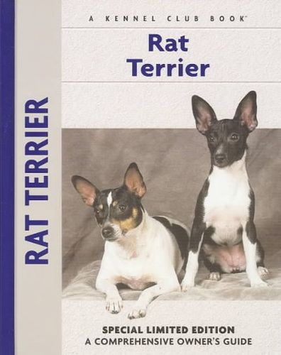 Rat Terrierrat 