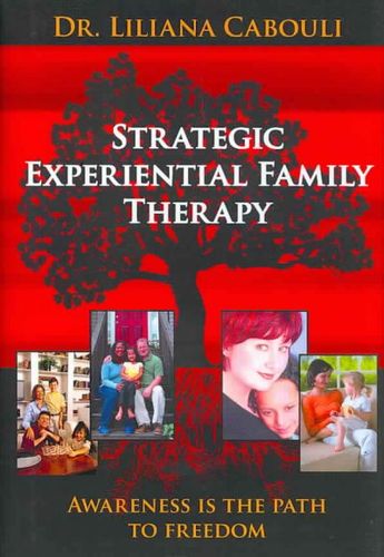 Strategic Experiential Family Therapystrategic 