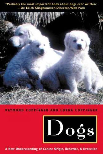 Dogsdogs 
