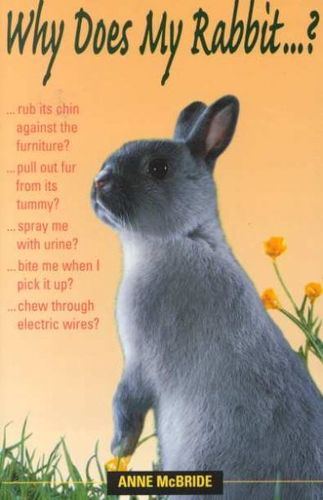 Why Does My Rabbit?does 