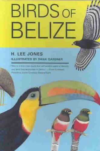 Birds of Belizebirds 