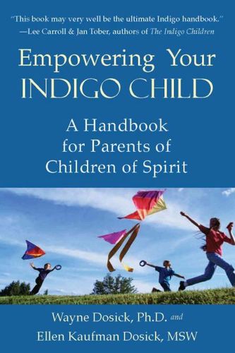 Empowering Your Indigo Childempowering 